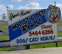 Welcome to Grand Haven Pet Resort